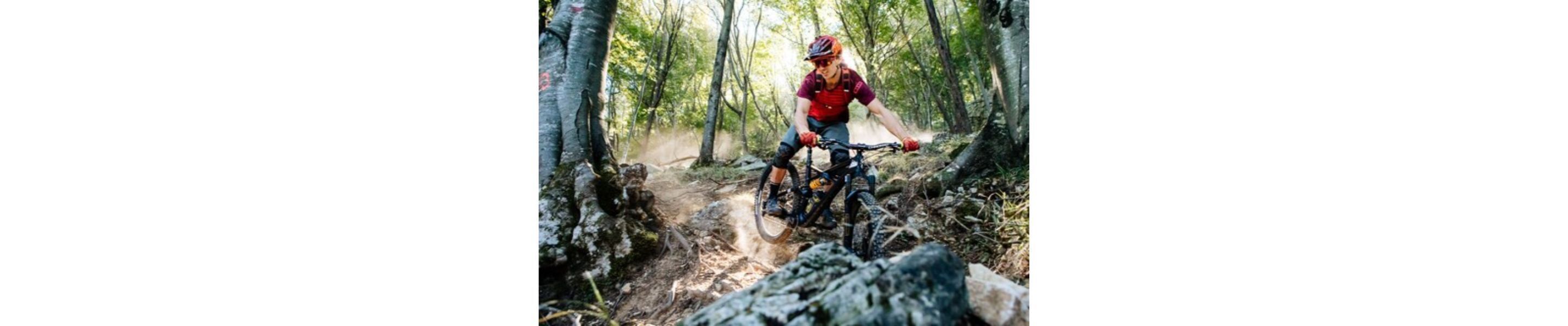 A person riding a mountain bike through a forested area.