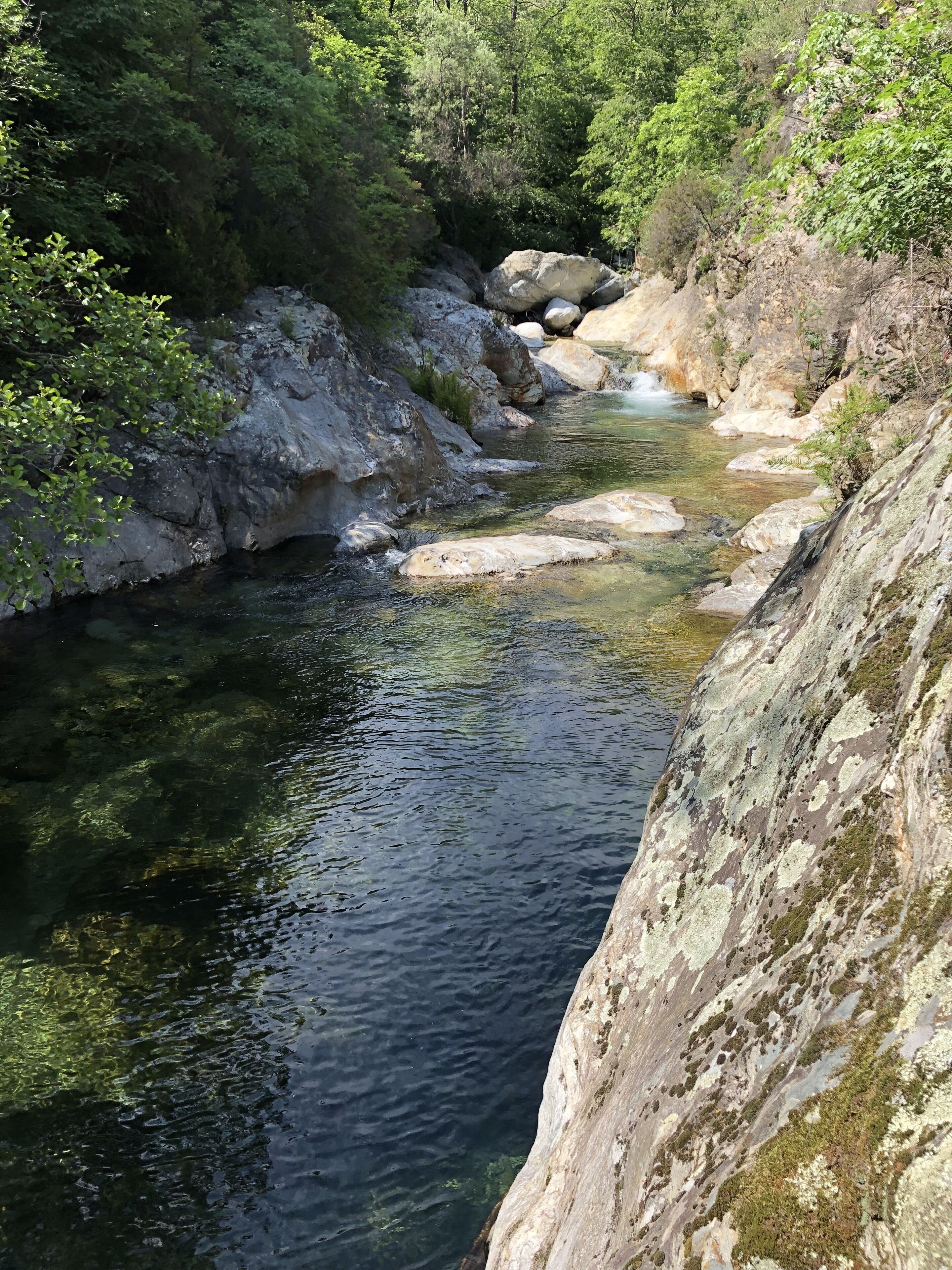 A natural stream surrounded by rocks and greenery.