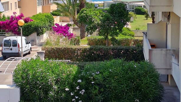 A residential area with a view of the sea, featuring a white van parked on the street, lush green hedges, and a palm tree. - La Punta (Otranto)