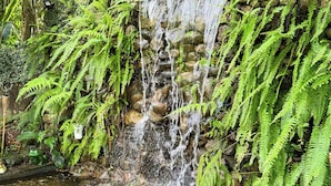 A waterfall cascading over rocks surrounded by lush green ferns and tropical foliage. - Rumo dos Ventos (Paraty)