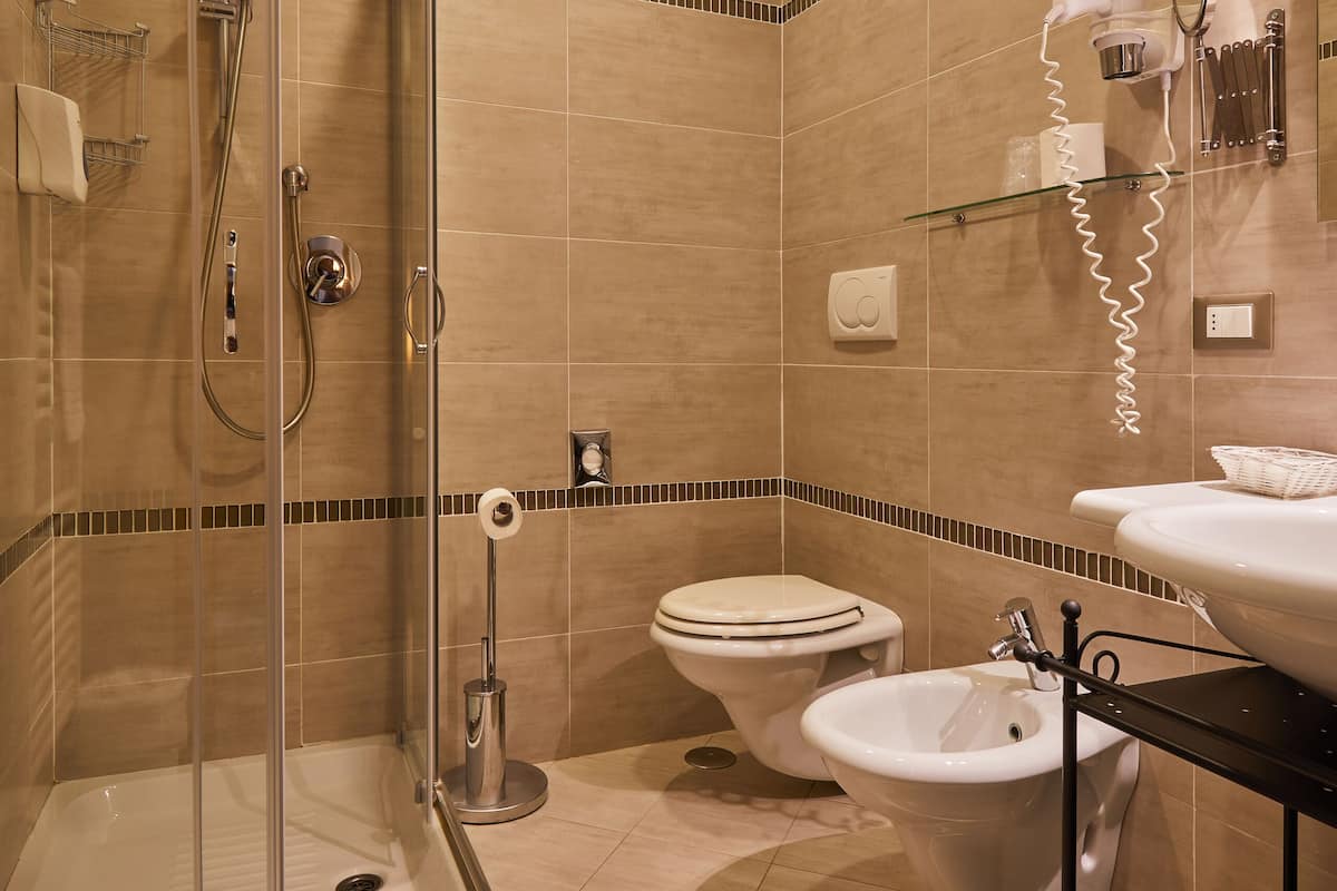 free toiletries, hair dryer, bidet, towels