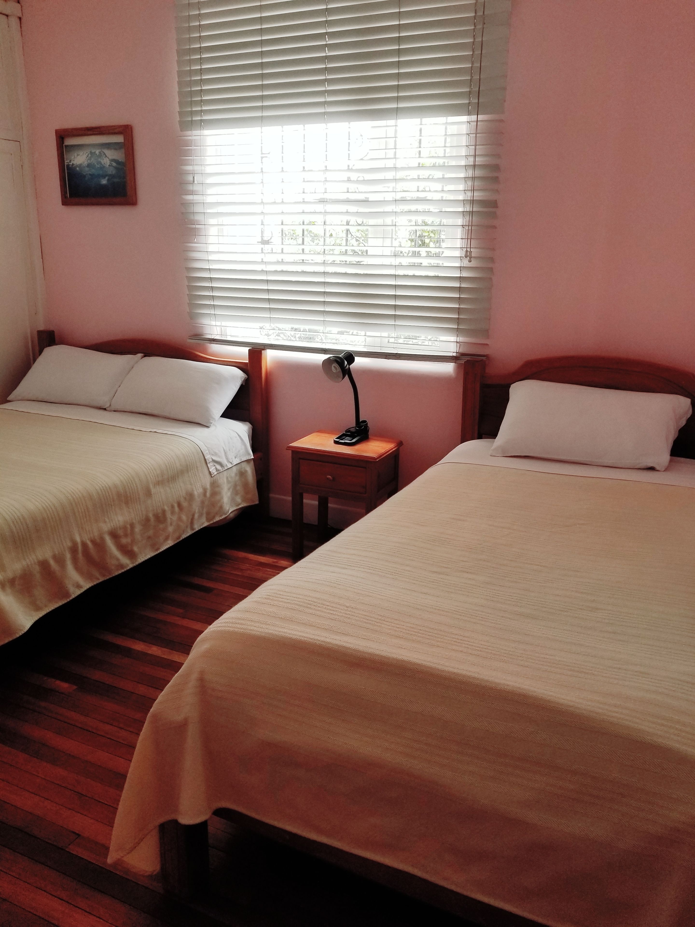 A room with two beds, a nightstand with a lamp, a picture on the wall, and a window with blinds.