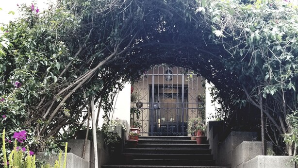 Un escalier en pierre menant à l’entrée d’un bâtiment, entouré de plantes en pot et d’une arche recouverte de lierre.