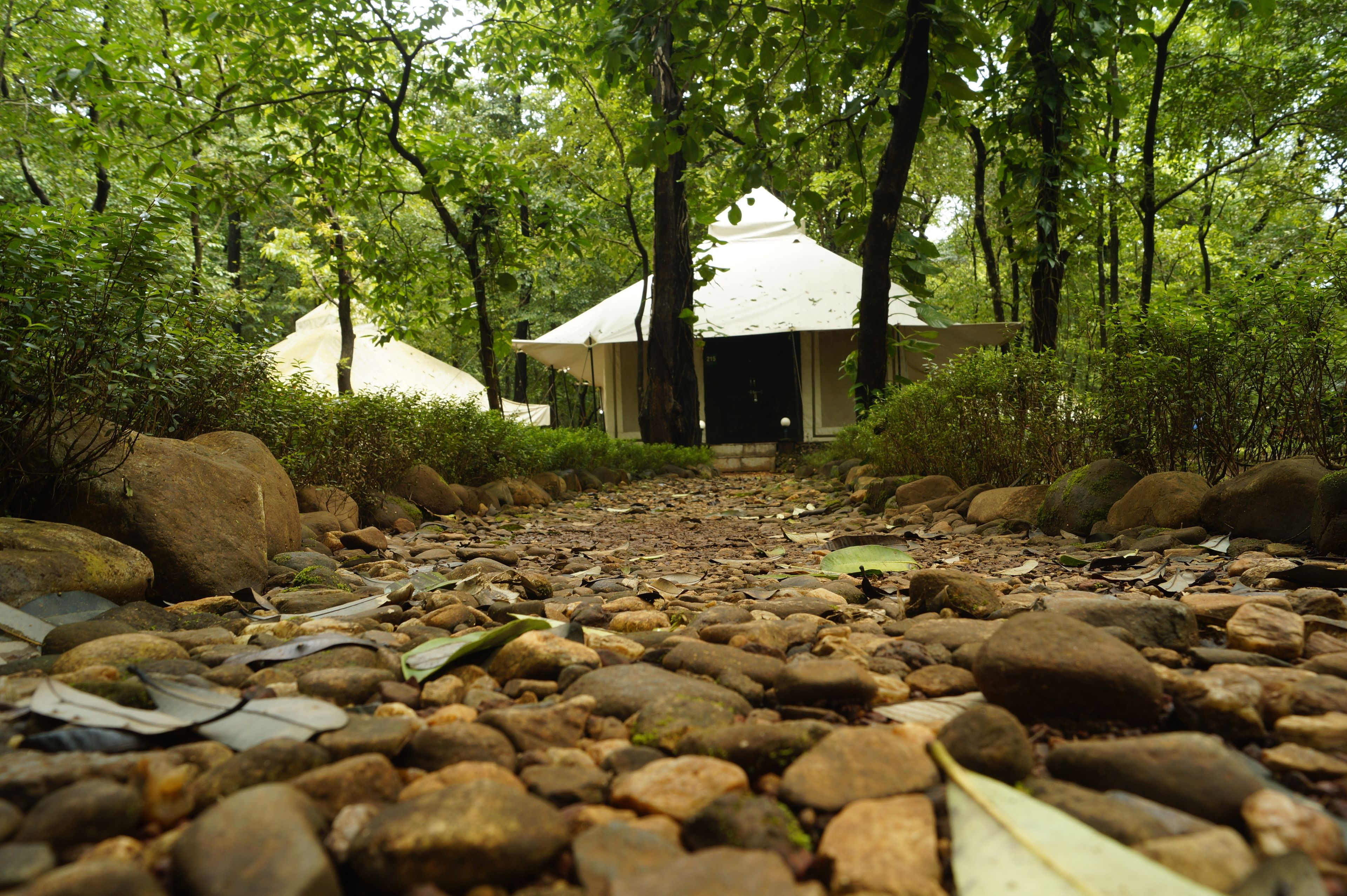 Suite | Terrasse/Patio