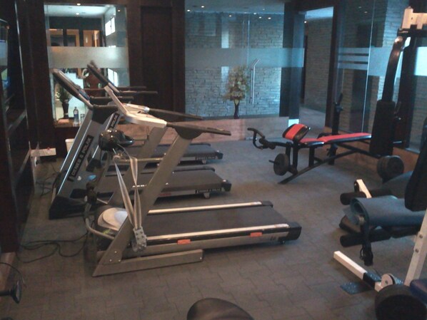 A gym with treadmills, weight machines, and a small plant.