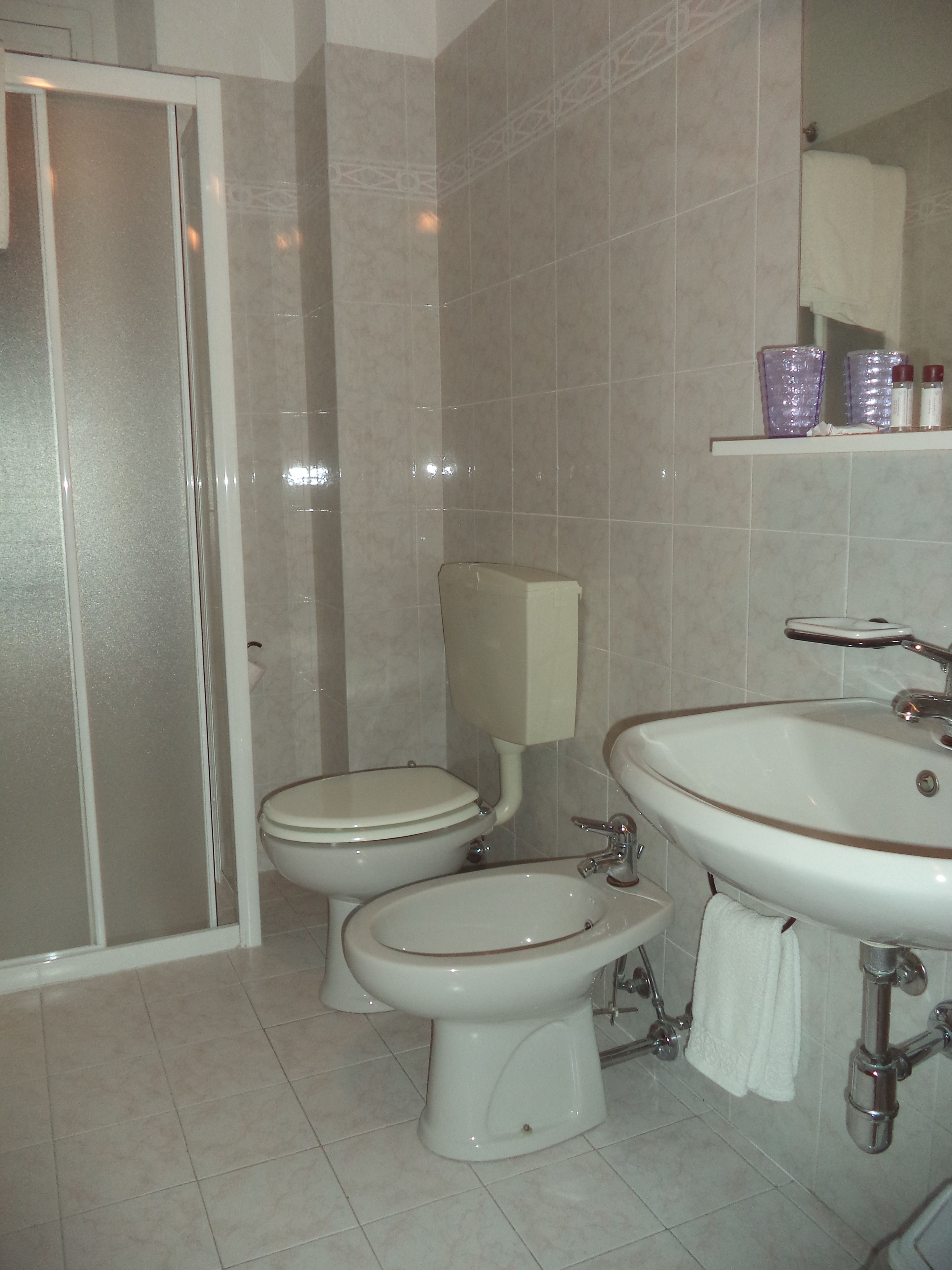 shower, free toiletries, hair dryer, bidet