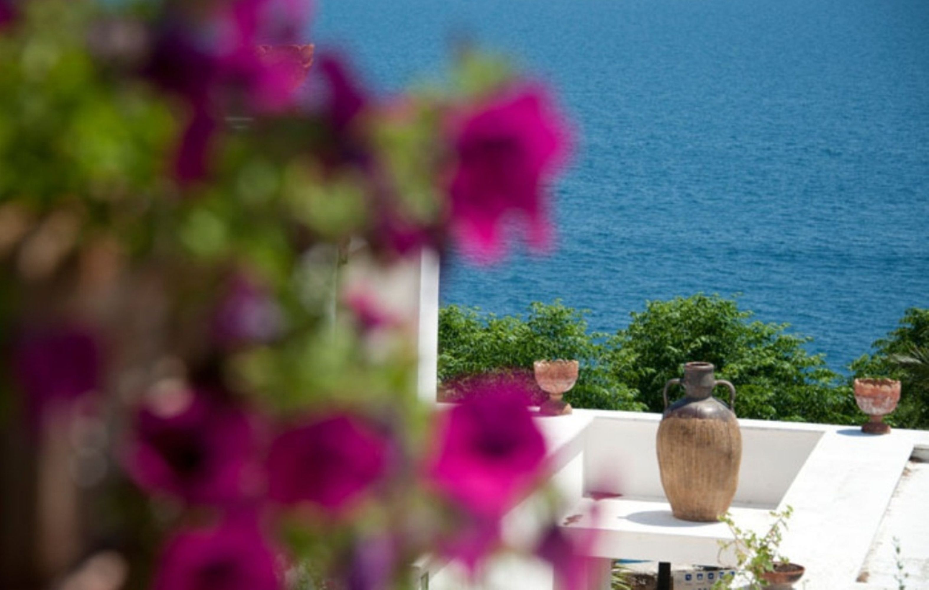 Vista del mare da un balcone con un vaso e piante in vaso.