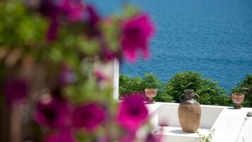 Vista del mare da un balcone con un vaso e piante in vaso.