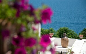 A view of the sea from a balcony with a vase and potted plants. - Hotel Piccolo Mondo (Castro)