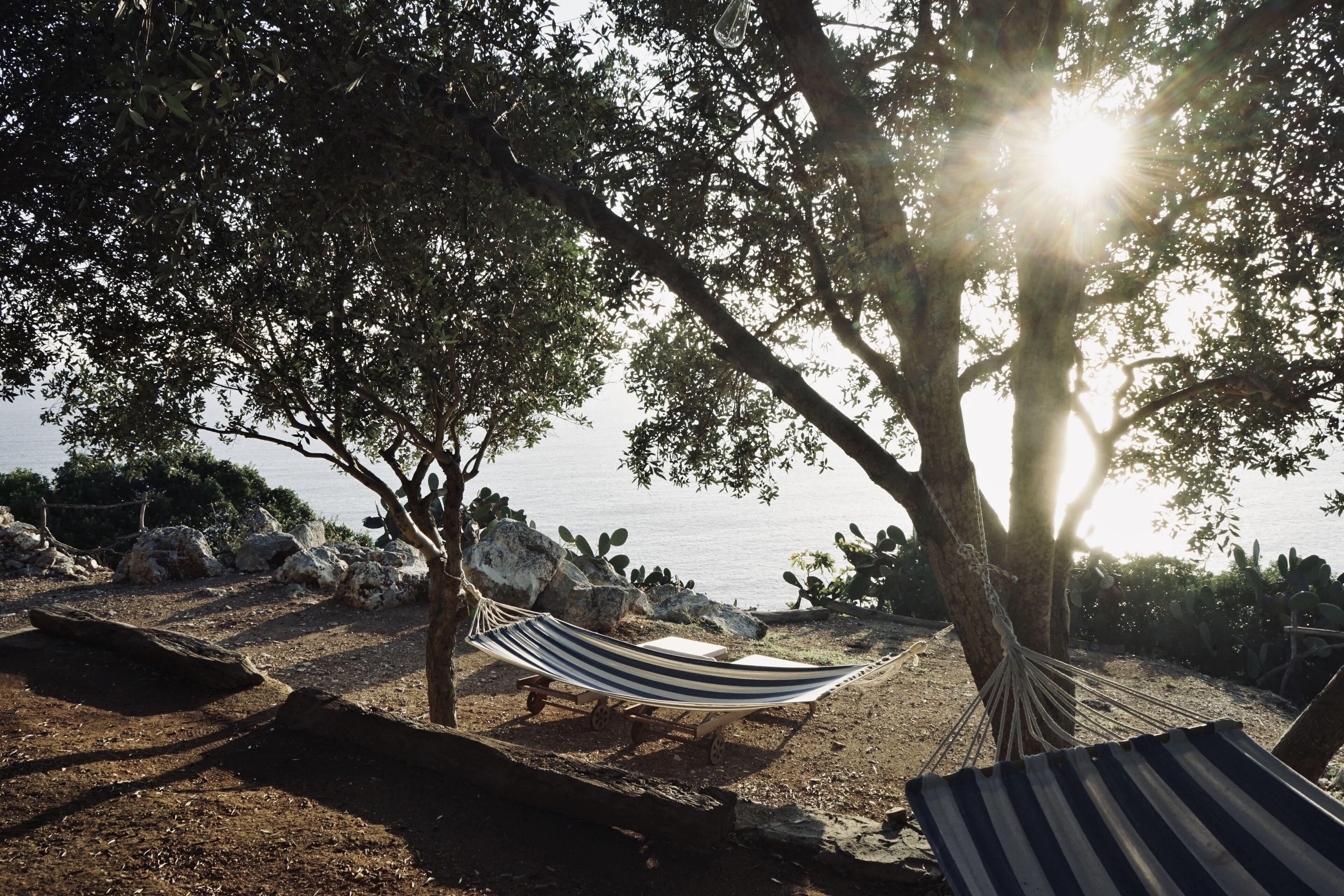 Suite Deluxe, vista mare | Servizio della camera