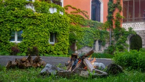 A fire burning in a grassy area with a building in the background covered in ivy. - Palac Paulinum (Jelenia Gora)