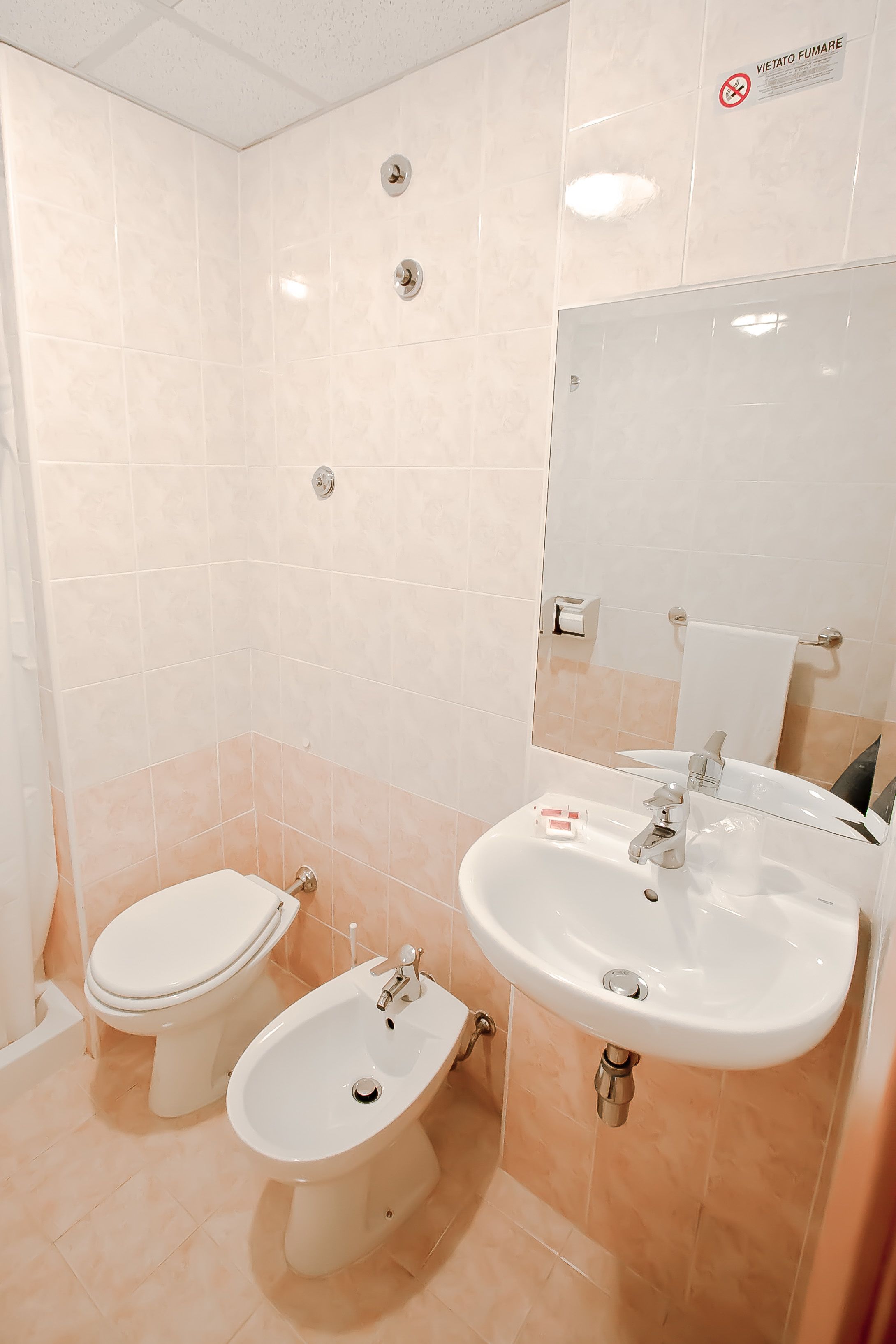 single room | bathroom | hair dryer, bidet, towels