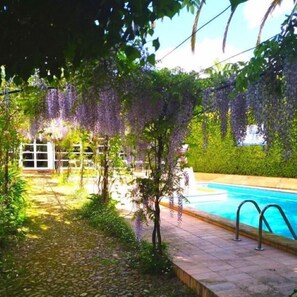 Exterior - Casa do Foral (Rio Maior)