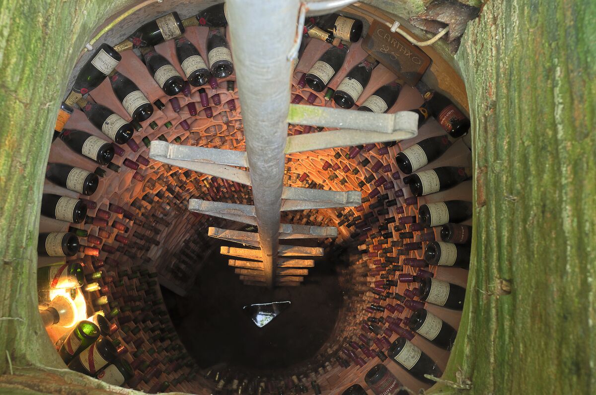 A wine cellar with bottles arranged in a circular pattern, a wooden spiral staircase, and a metal rack in the center.