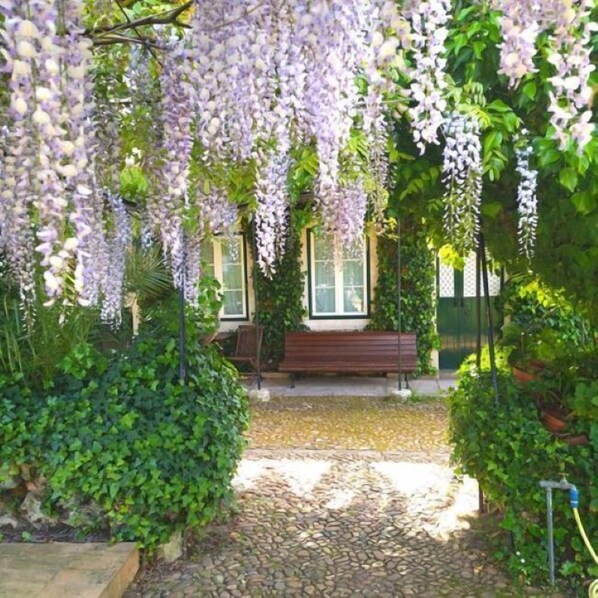 Exterior - Casa do Foral (Rio Maior)