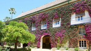 Un edificio cubierto de enredaderas de buganvilla moradas, con techo de tejas y balcones.