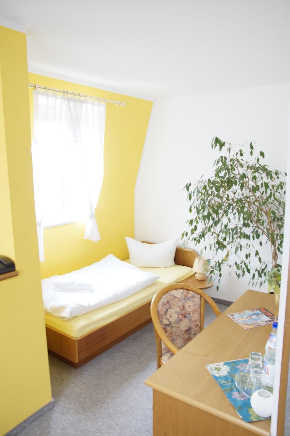 Una habitación pequeña con cama, escritorio, silla y planta.