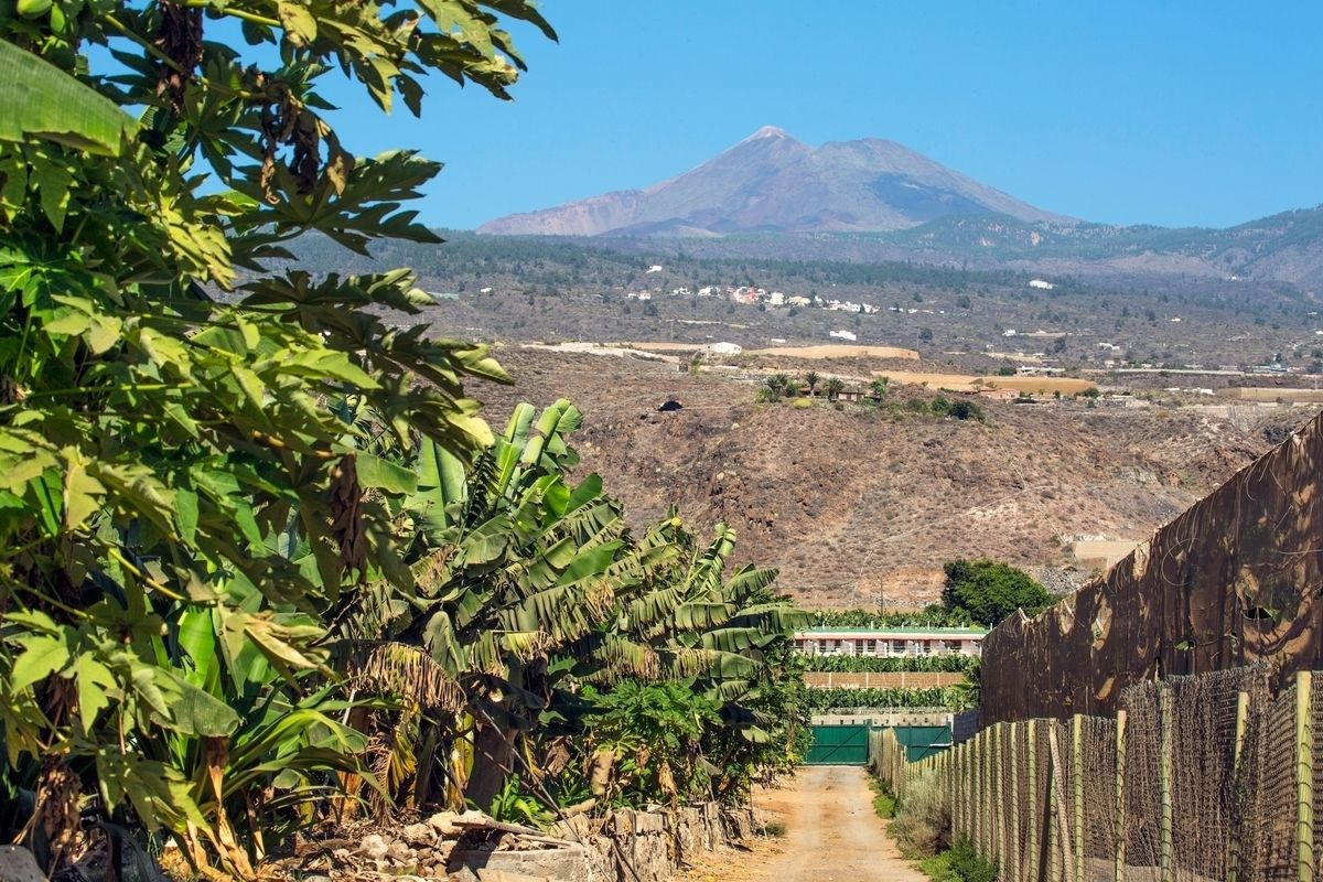 Photo - Hotel Rural El Navío - Adults Only