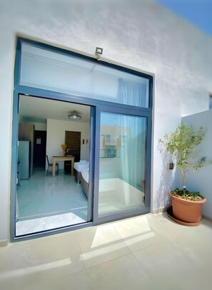 Panoramic Studio Suite | View from room