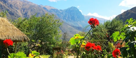 Jardín
