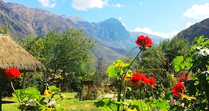 Apu Lodge B&B