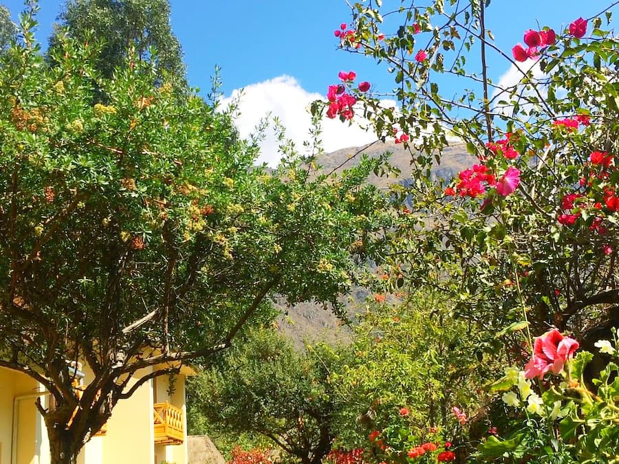 Jardín