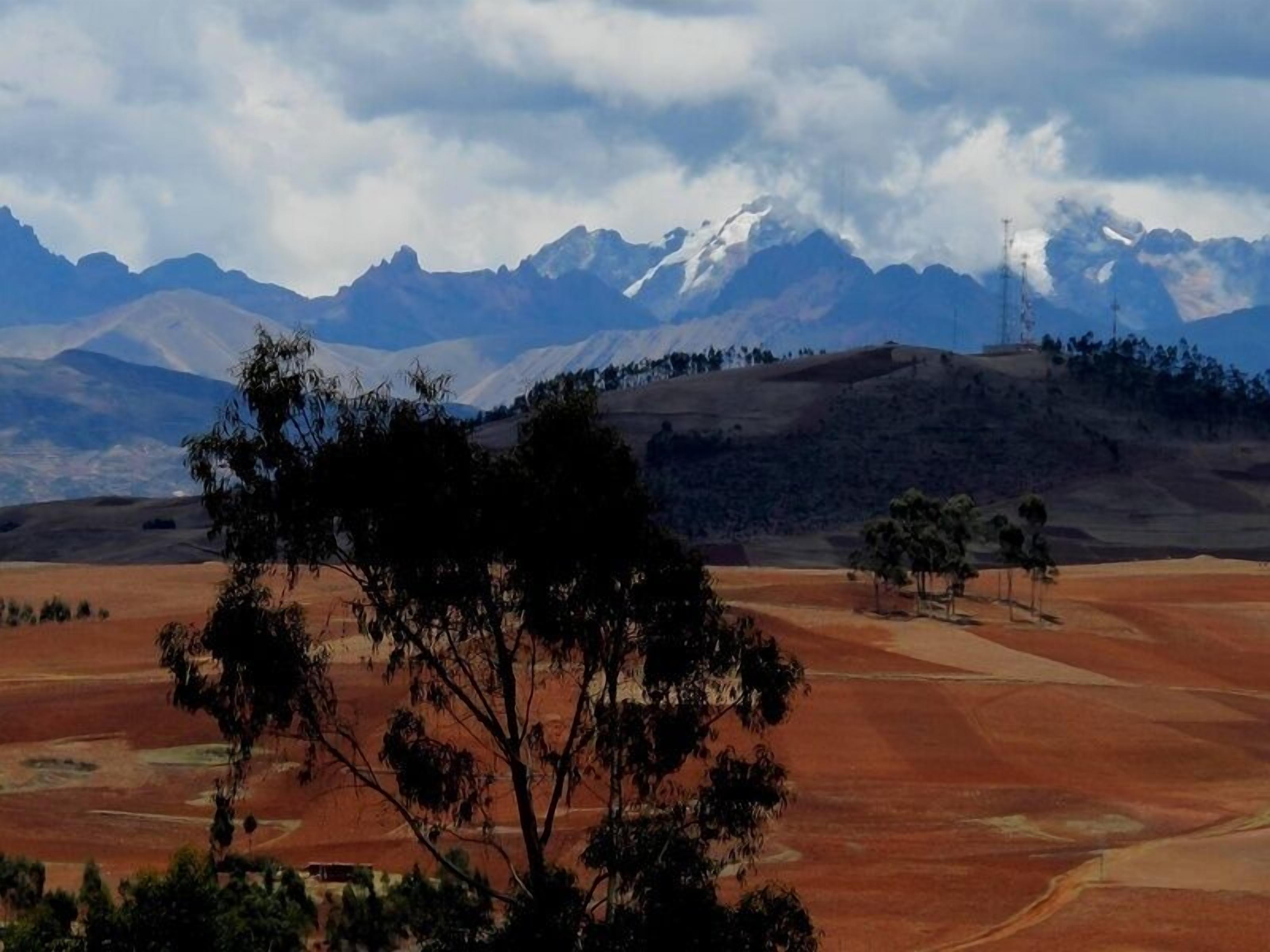 A landscape with a prominent tree in the foreground, a hilly terrain with sparse vegetation, and a mountain range in the background.