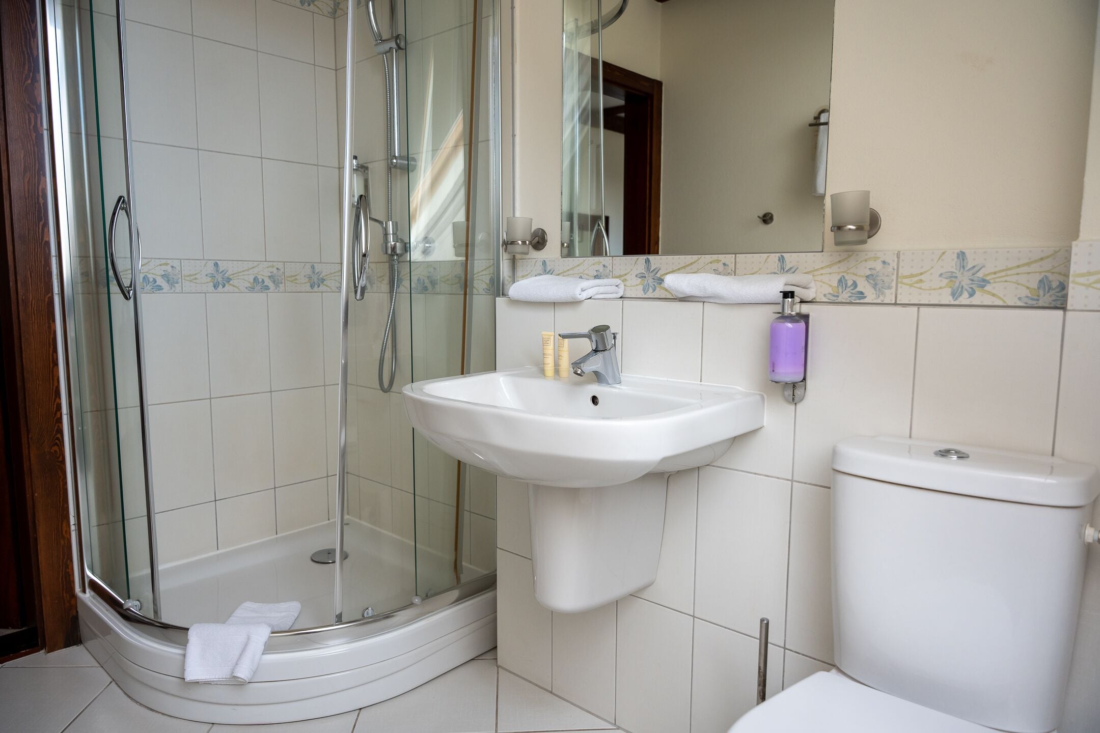 A bathroom with a glass-enclosed shower, a white sink, and a toilet.