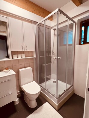 A modern bathroom with a glass-enclosed shower, a toilet, and a vanity with cabinets.