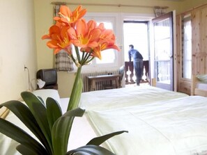 Decoración individual, mobiliario individual, wifi y ropa de cama