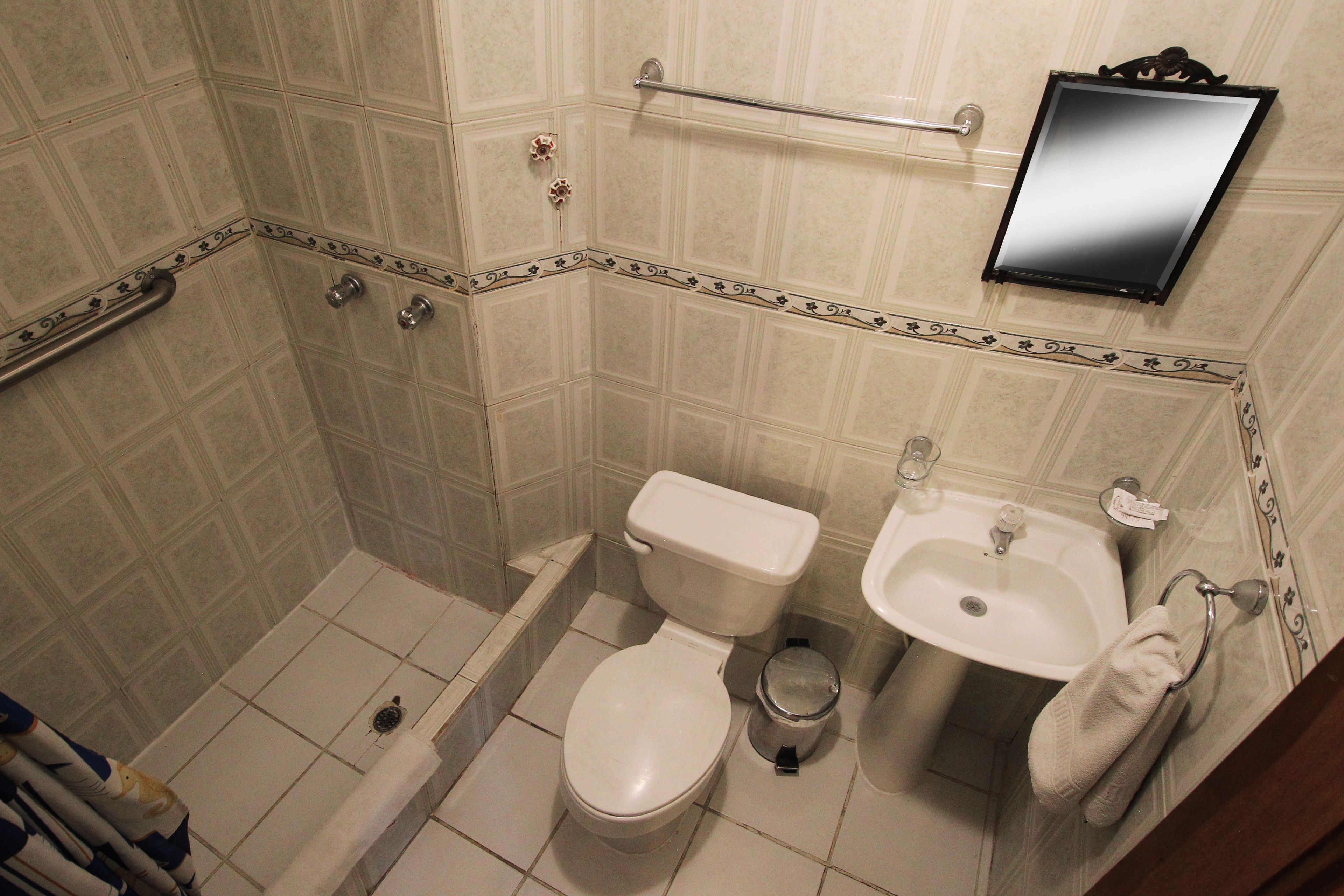 single room | bathroom | shower, free toiletries, hair dryer, towels