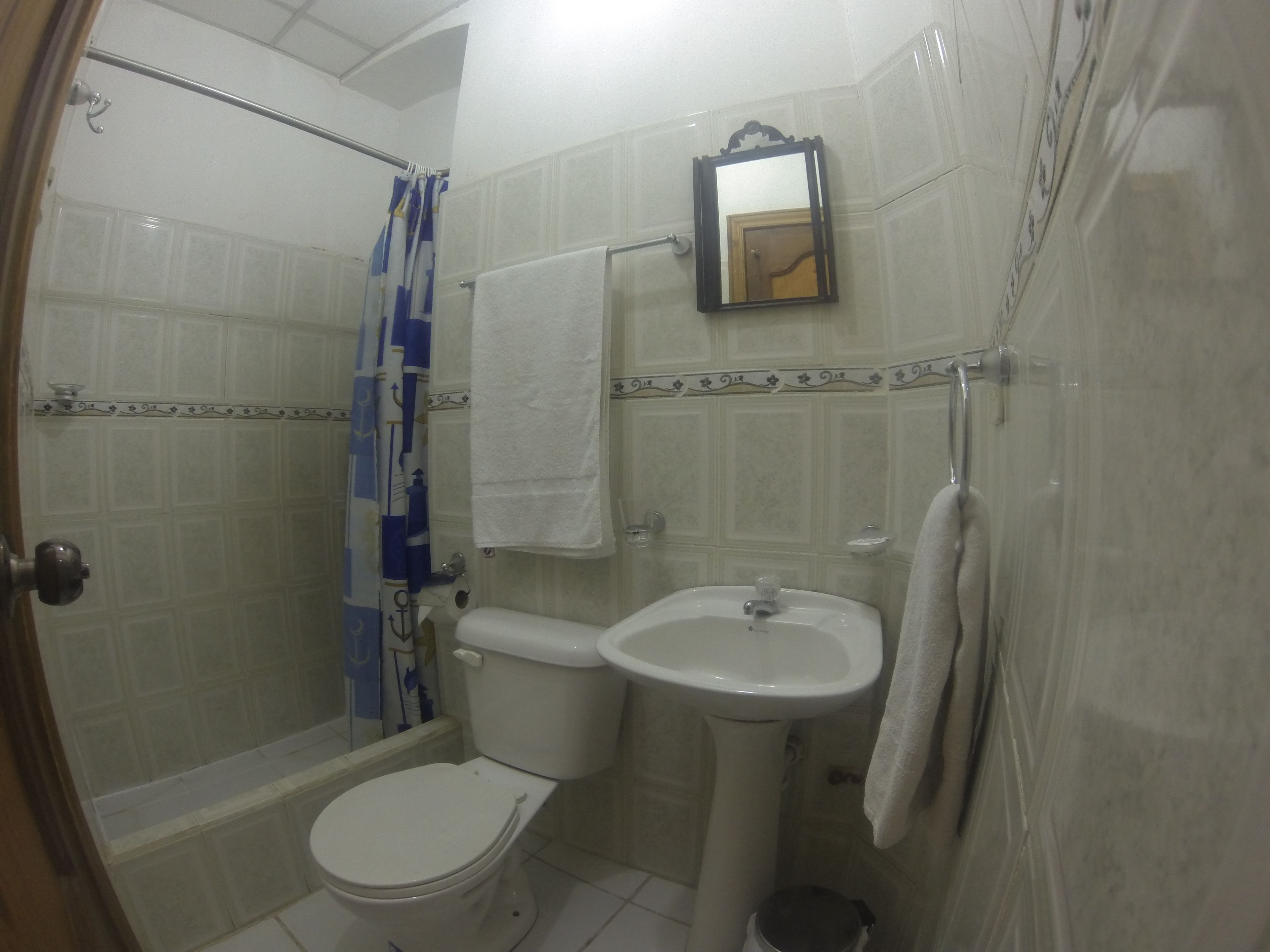 single room | bathroom | shower, free toiletries, hair dryer, towels