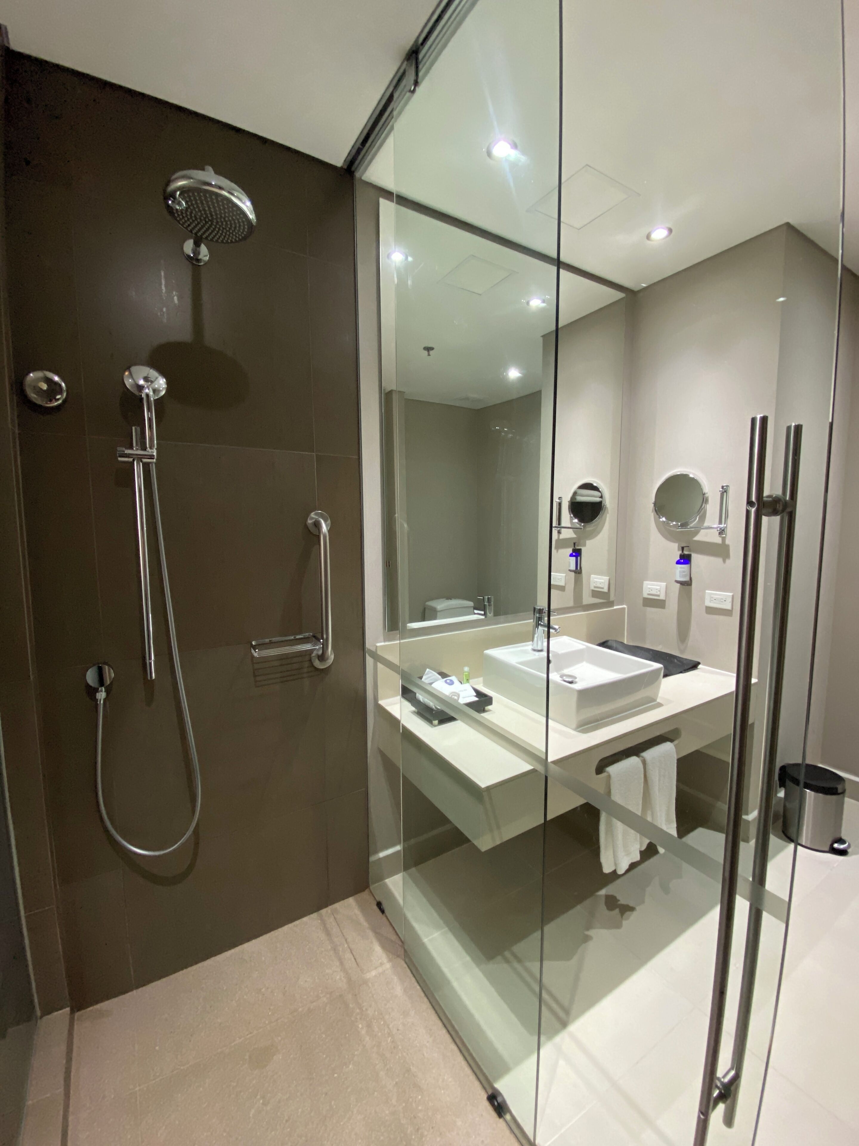 A modern bathroom with a glass shower enclosure, a white sink, and a large mirror.