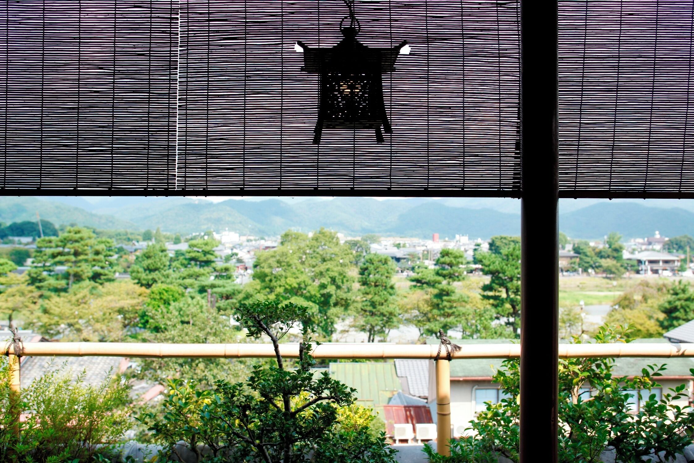 A view through bamboo blinds with a hanging lantern, greenery, and distant buildings.
