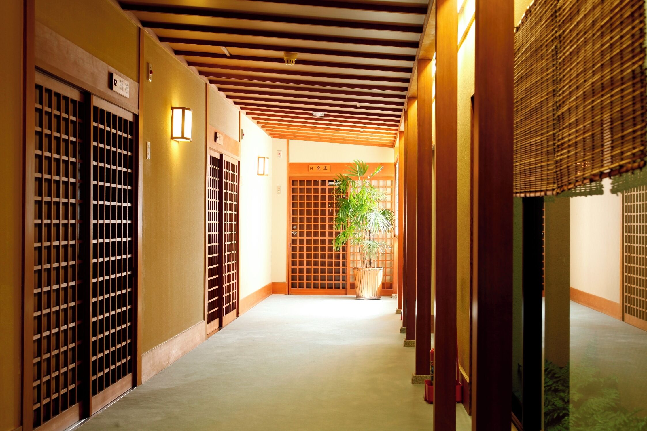 A corridor with traditional Japanese-style doors and a potted plant.