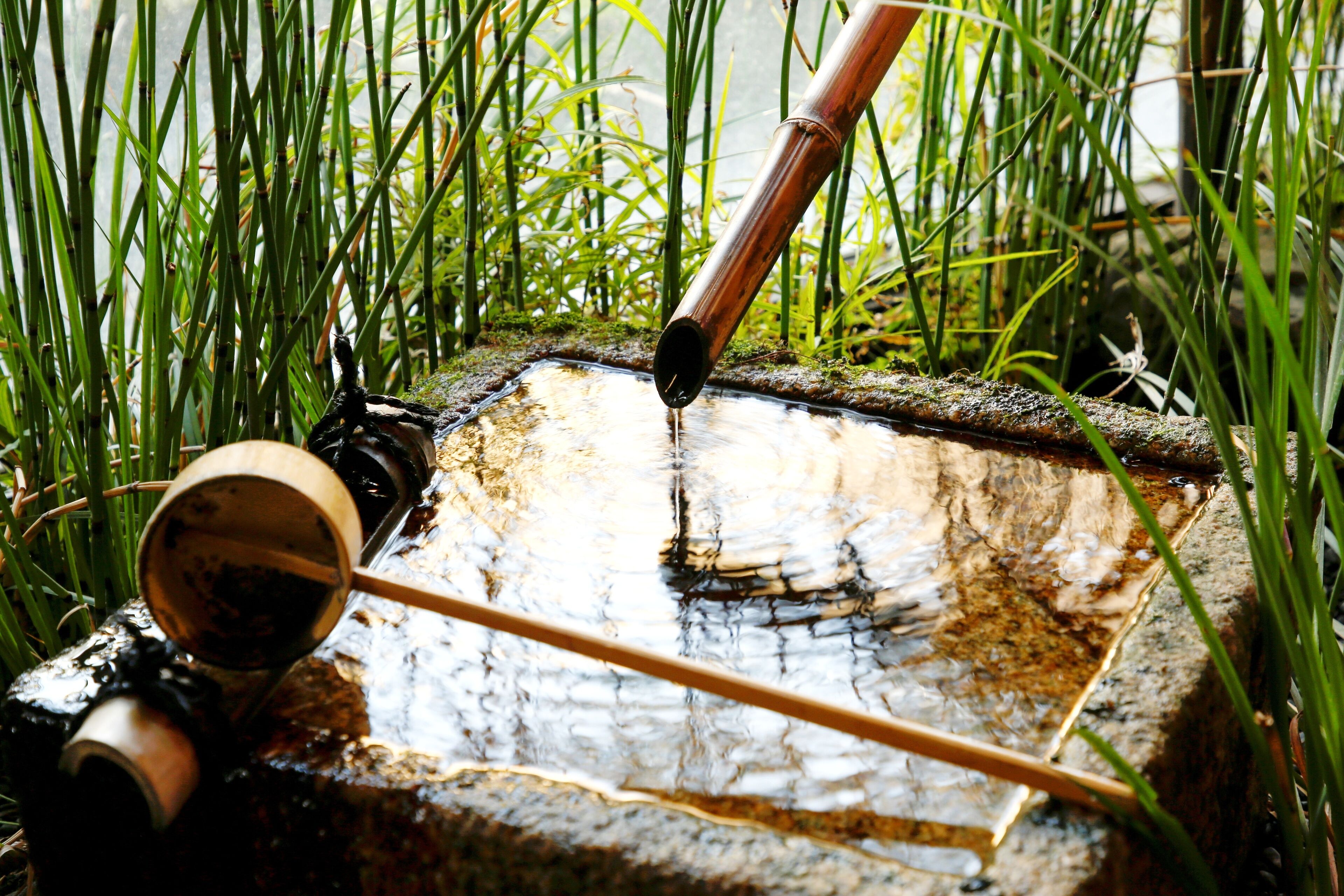 Foto - Kyoto Arashiyama Onsen Ryokan Togetsutei
