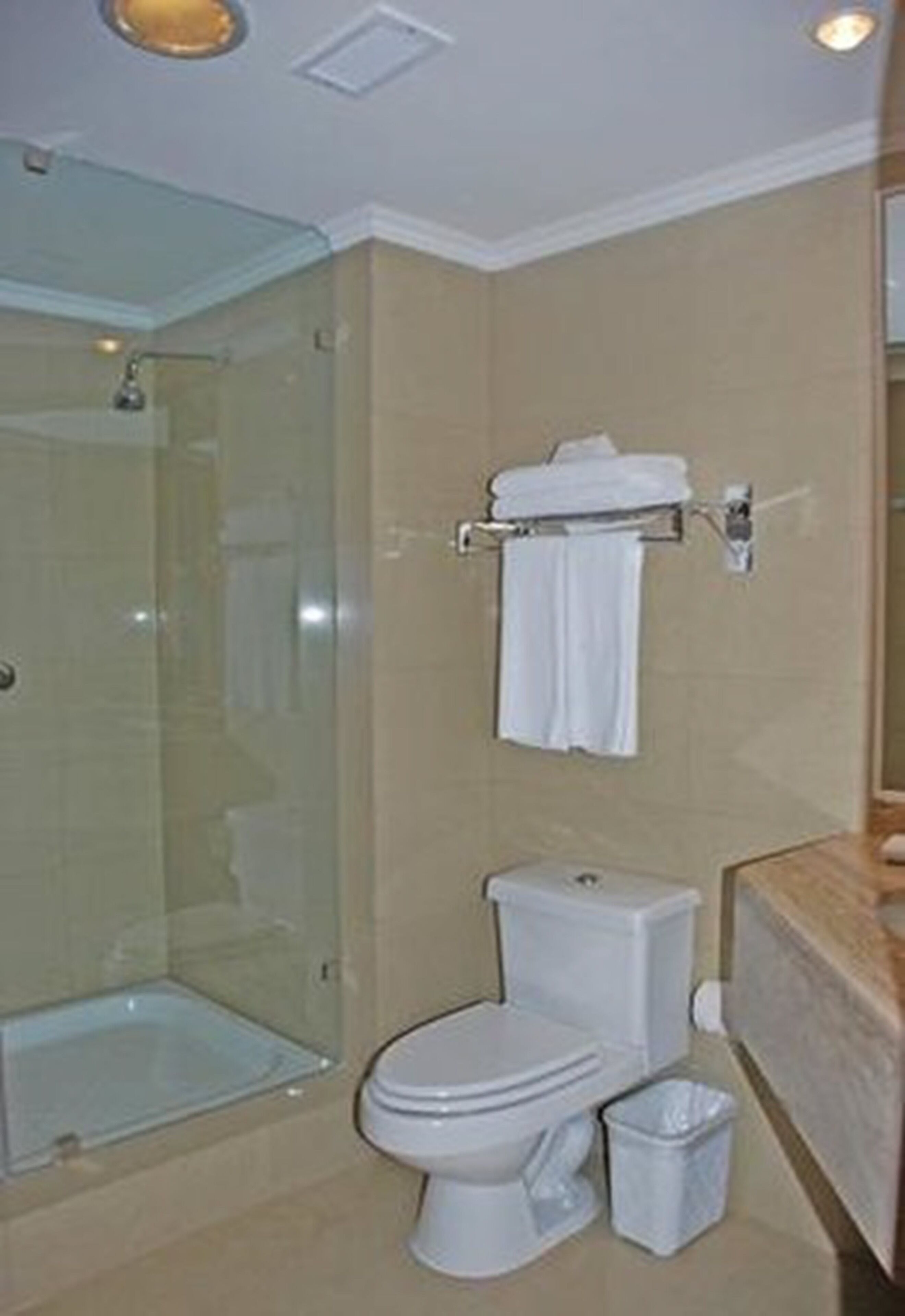 combined shower/bathtub, free toiletries, hair dryer, towels