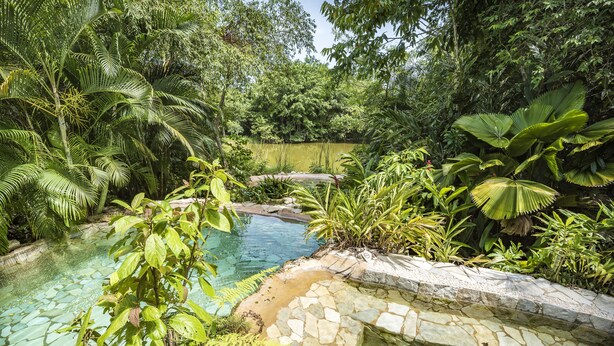 Ein klares Schwimmbecken, umgeben von üppiger tropischer Vegetation.