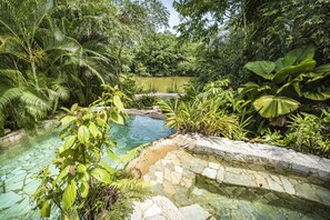 A clear pool surrounded by lush tropical vegetation.
