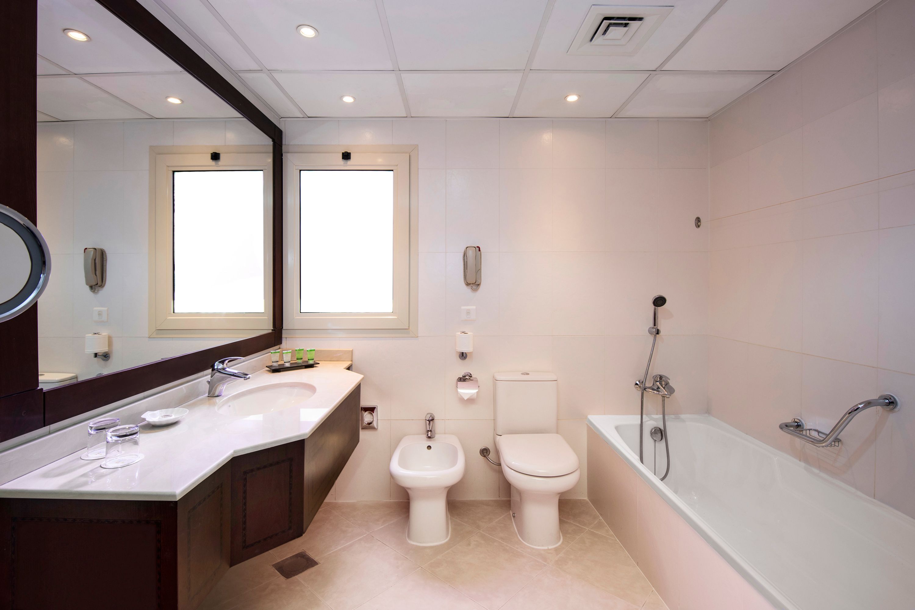 Une salle de bain moderne avec un grand lavabo, un bidet, des toilettes et une baignoire.