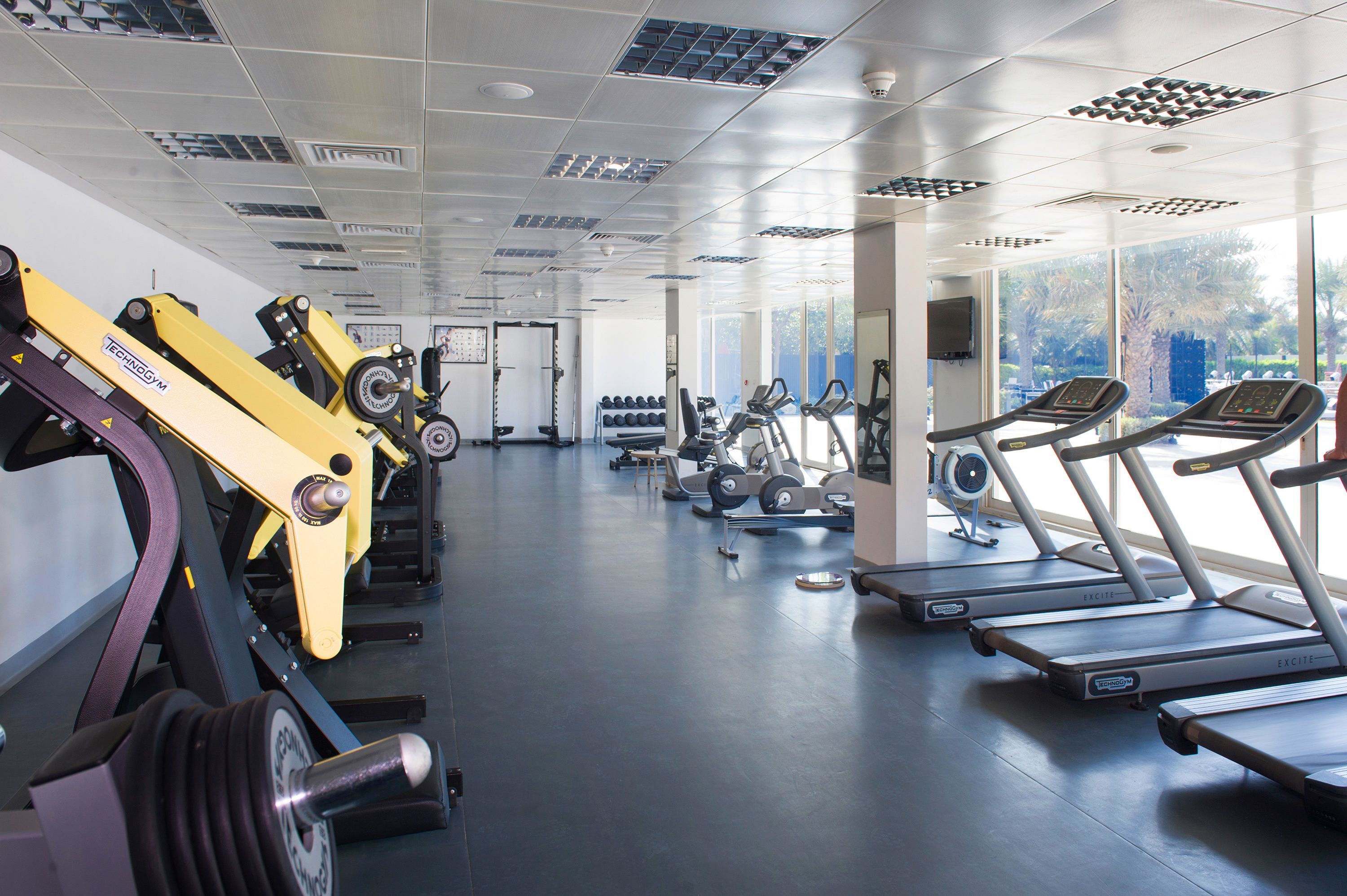 A gym with treadmills, weight machines, and dumbbells.