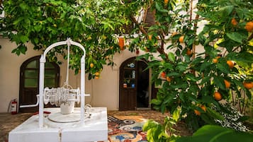 Jardín