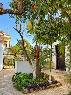 A courtyard with a palm tree, a potted plant, and a tiled floor.