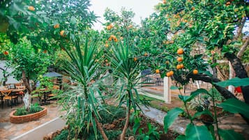 花園