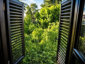 A view through open wooden shutters, revealing a dense green garden with various plants and trees.