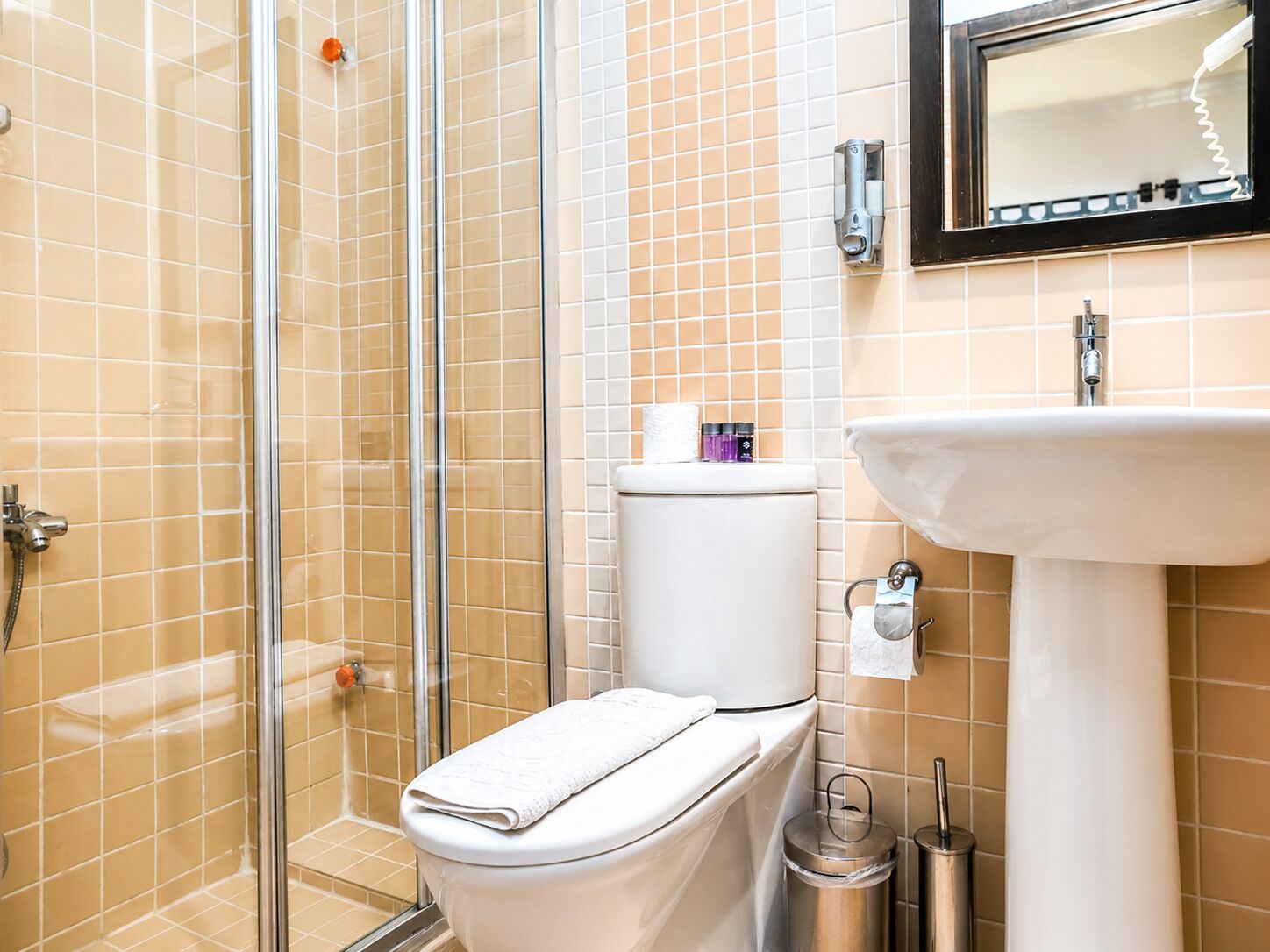 A bathroom with a glass shower enclosure, a toilet, a sink, and a mirror.