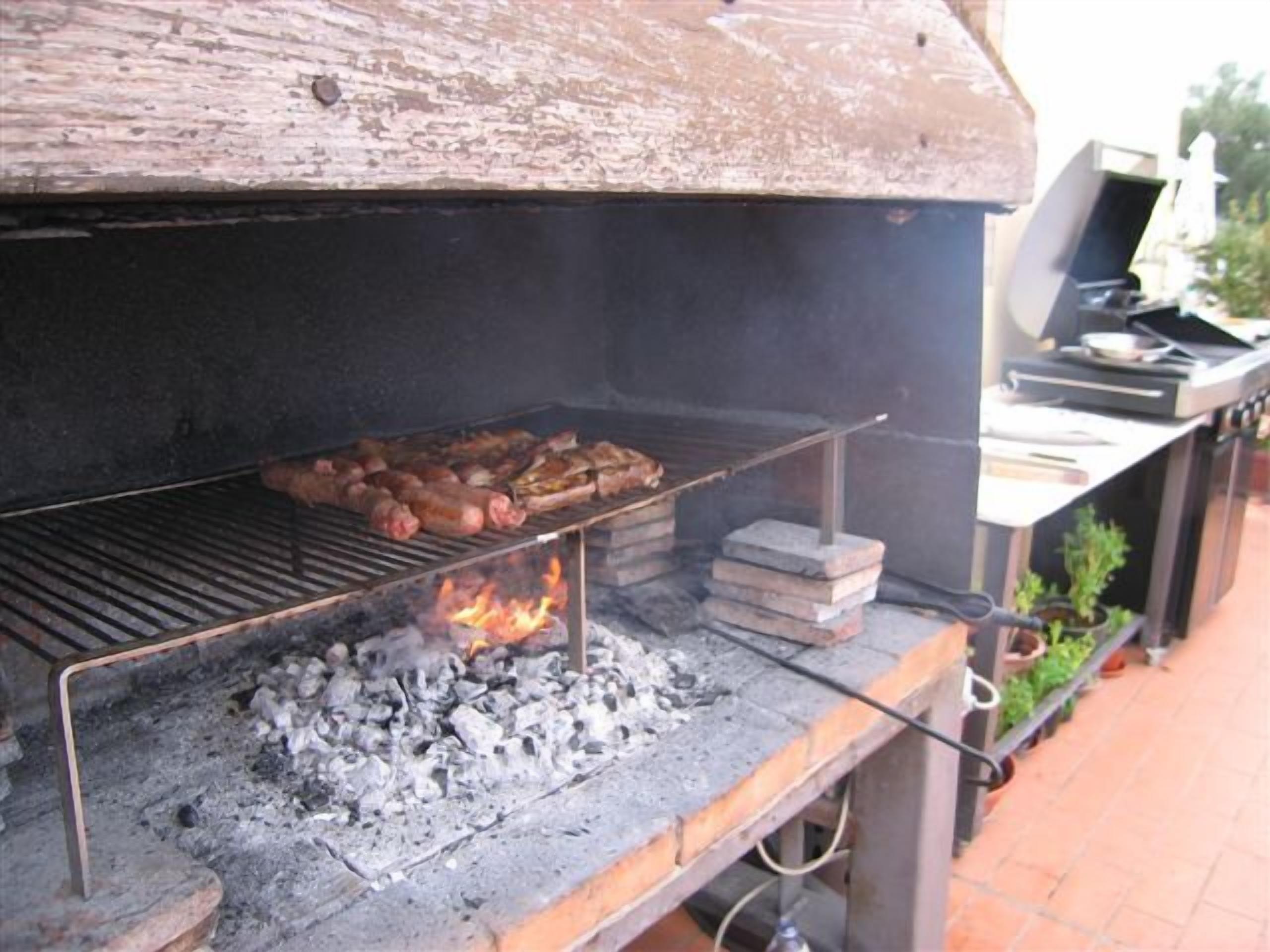 A barbecue grill with food being cooked over charcoal, a gas stove, and a small table with a plant.