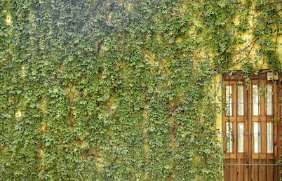 Hotel Casa del Callejon