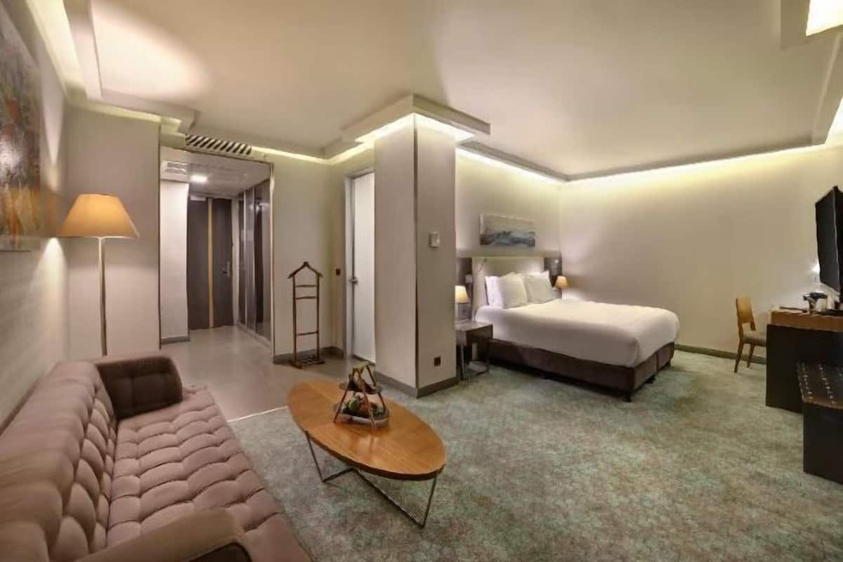 Biancheria da letto di alta qualità, copriletto in piuma, minibar