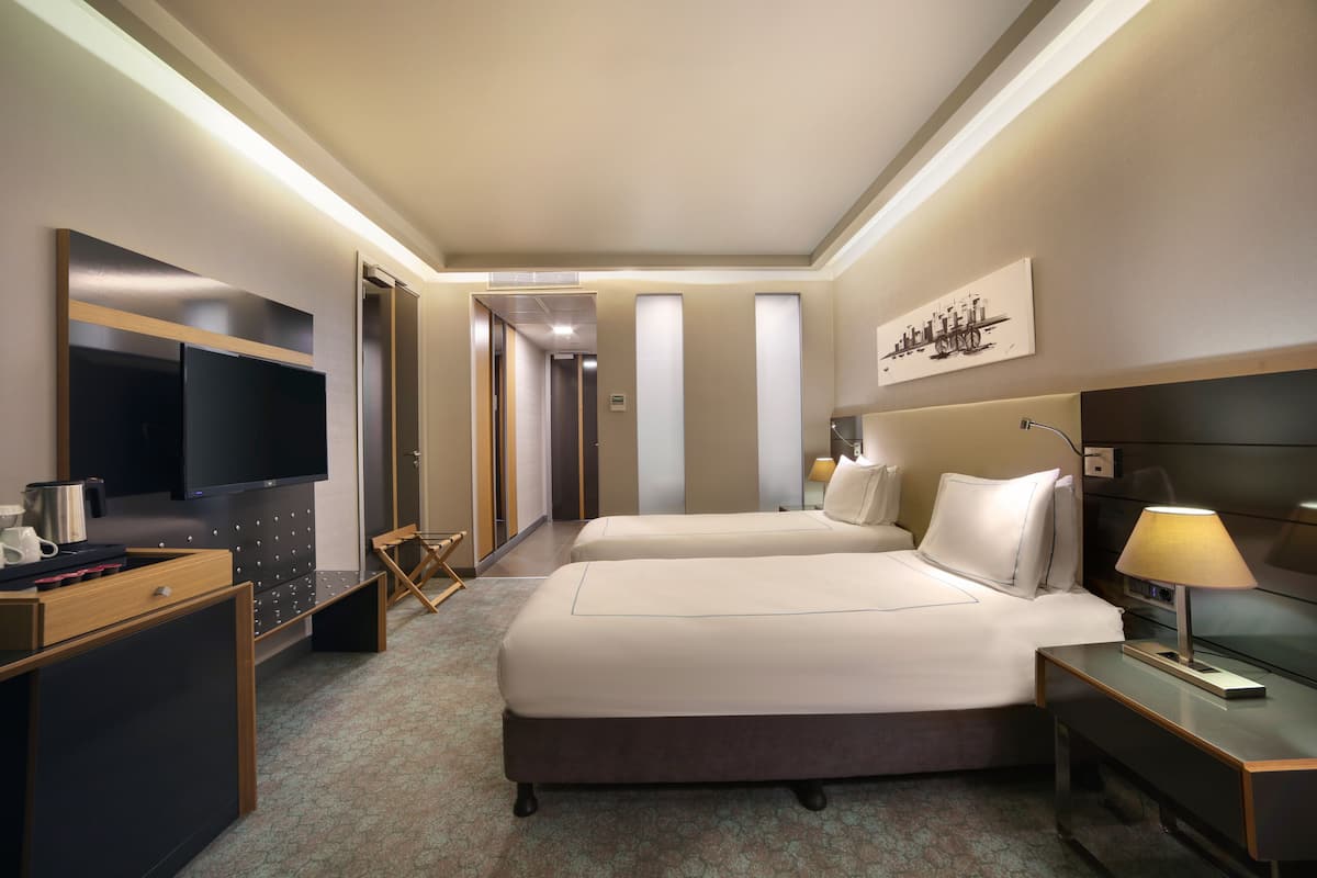 deluxe twin room, 2 single beds | view from room